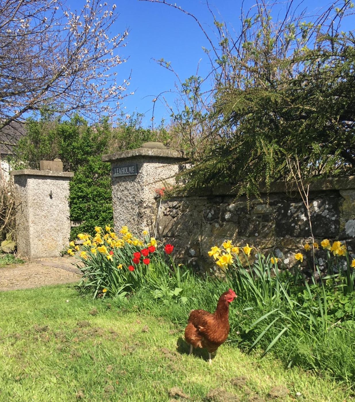 Leaholme Cottage - Fabulous Coastal Cottage For 8 ニュートン・バイ・ザ・シー エクステリア 写真